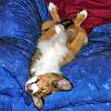 Aahhh, contentment